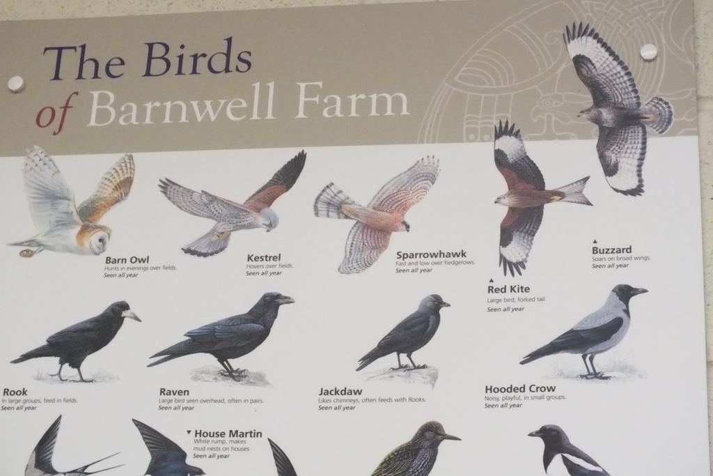 Barnwell Farm Cottages Corn Cottage Greyabbey Pokoj fotografie